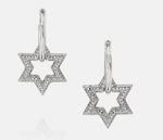 Load image into Gallery viewer, STARINA PAVE DROP EARRING
